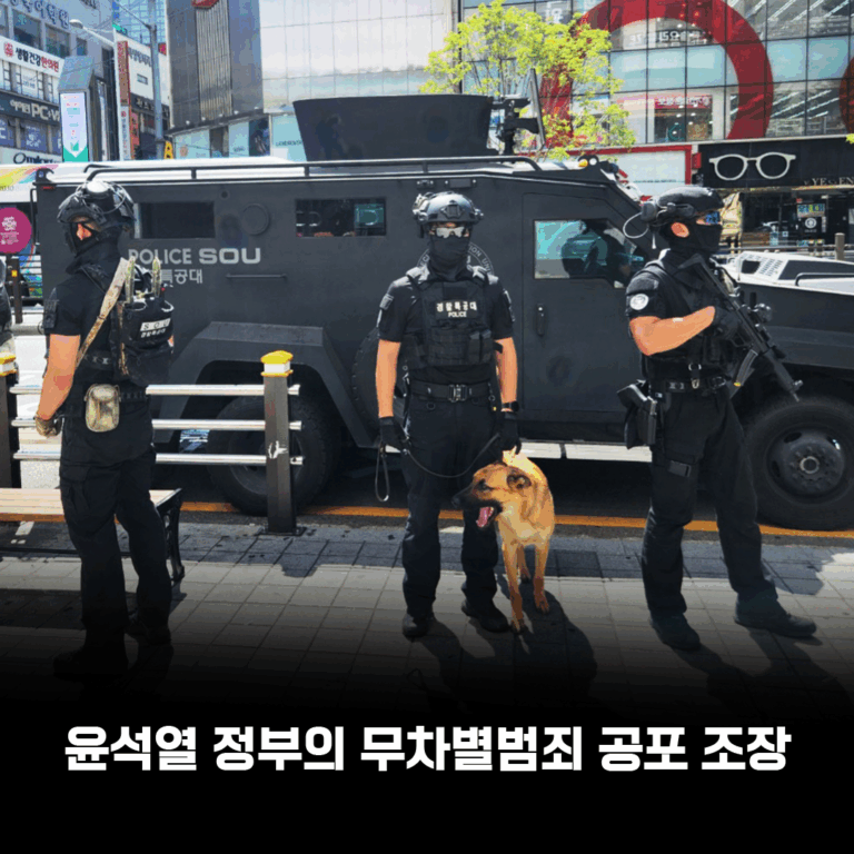 윤석열 정부의 무차별범죄 공포 조장 😡🤨