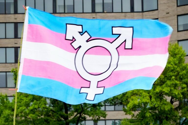 🏳️‍⚧️성별인정법 발의(예정)를 환영한다